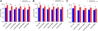 Cyromazine affects the ovarian germ cells of Drosophila via the ecdysone signaling pathway